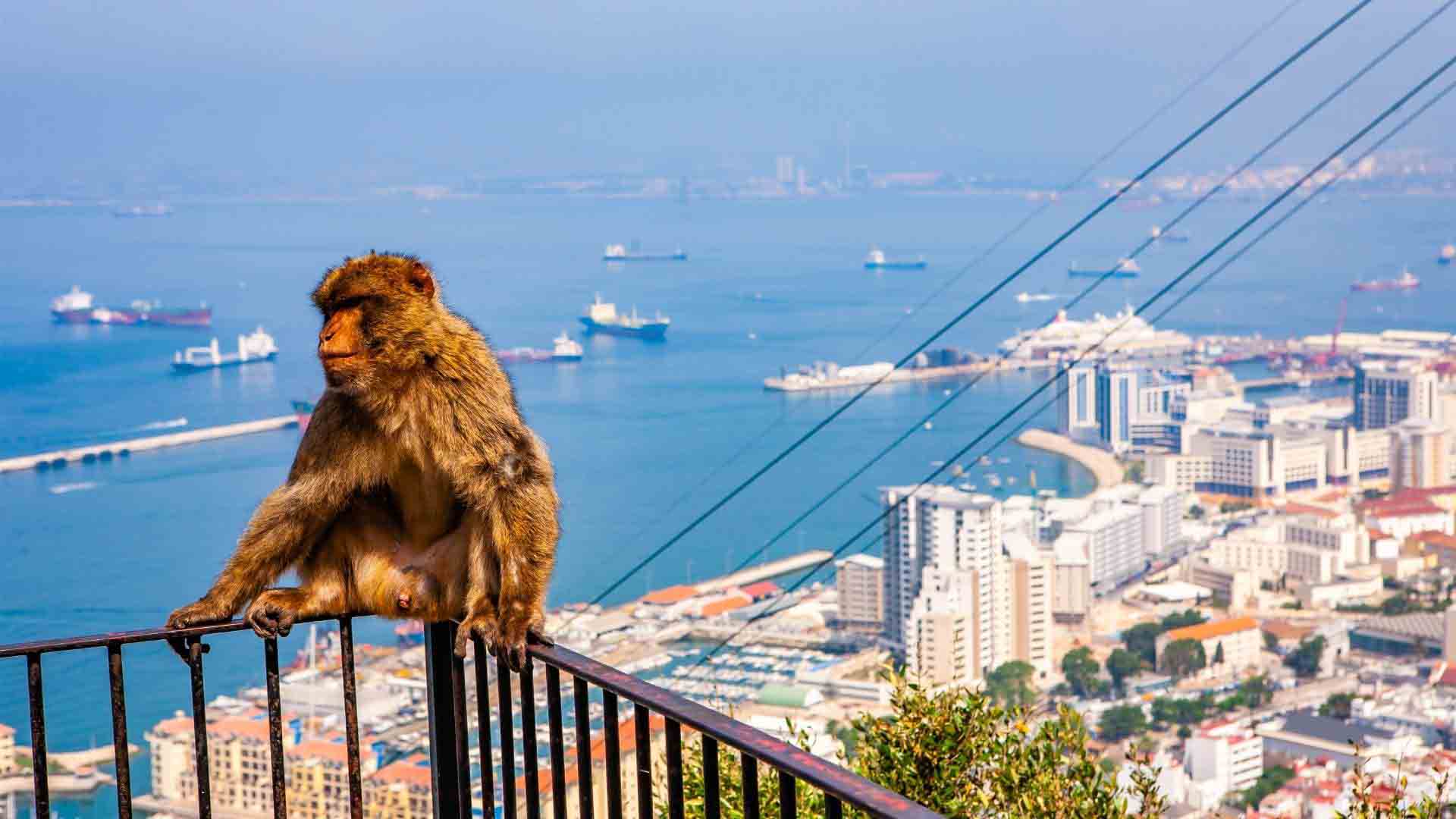 gibraltar-fuengirola